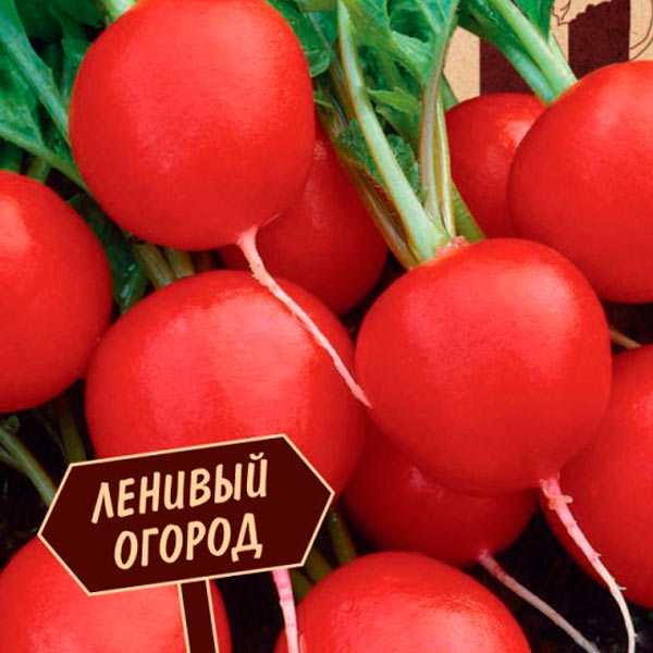 Semena Zakaz Ru Интернет Магазин Каталог 2022